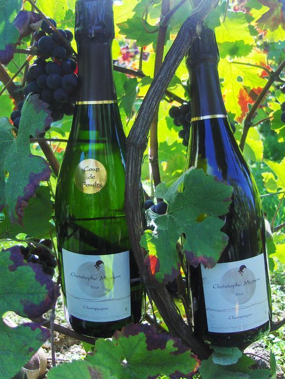 La Boulonne Villa Festigny  Ngoại thất bức ảnh